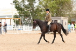SBM_14152