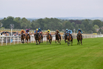 140726-Race 5-Crafty Spirit-1553