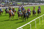 060926-Race 2-Oriental Prince-0111