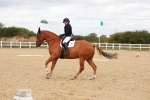 SBM_001910