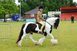 SBM_01040