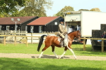 SBM_67488