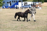 WJ6_6807