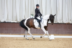 SBM_003562