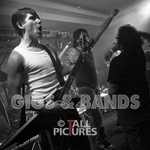 BRUTUS STONEFIST at RoA-5 portfolio