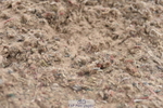 240623A-104804-16868