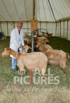 West Show_2014-11