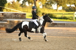 SBM_56310
