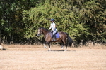 WJ6_7814