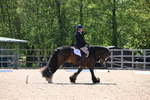 WJ6_0804
