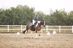SBM_004803