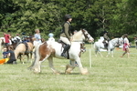 20260614-1582