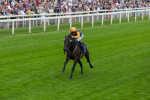 230823-Race 2-Indian Run-4128