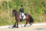 3E7A4193