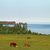 Fundy Rock of Ages