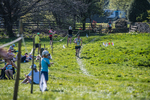 The Finish-2315