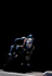 Into the Unknown