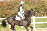 SBM_003393