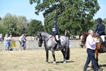 WJ6_8460