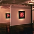 SOLO EXHIBITION
