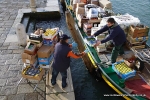 XT6I5142Venice 2011