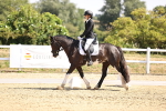 SBM_003635