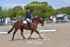 BPP_5597