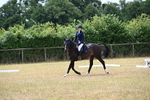 WJ6_3650