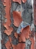 Flaking Paint