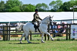 SBM_17495