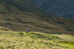 HBMR Leg 4-135