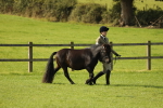 SBM_62380
