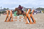 BPP_3100