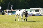 SBM_10945