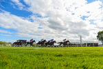 110526-Race 6-Betties Bay-2515
