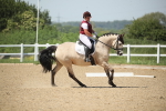 SBM_009513