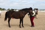 SBM_19077