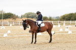 SBM_002840