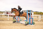 SBM_007481