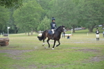NGP_7980