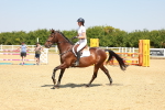 SBM_001123