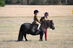 WJ6_7428