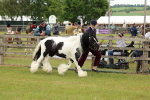 SBM_06271