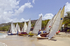 Bequia Easter Regatta_Heineken Challenge - Local Fishing Boatsgrw_8830