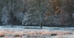 Natures Palette