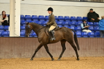 SBM_002004