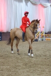 SBM_004212