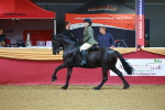 SBM_09731