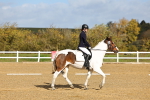 SBM_000952