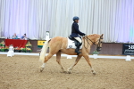 SBM_000732